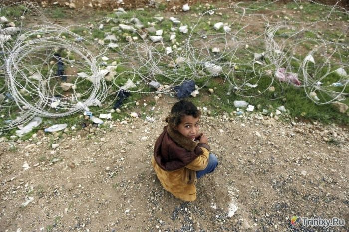 Сирия в наши дни (31 фото)