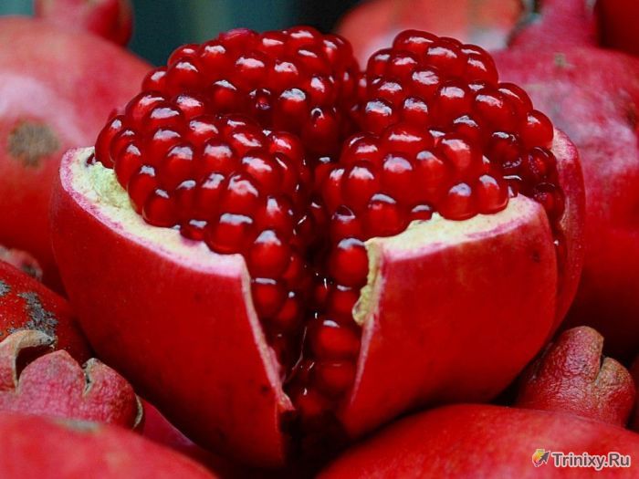 10 продуктов, которые необходимы организму осенью (10 фото) 10 продуктов, которые необходимы организму осенью (10 фото)