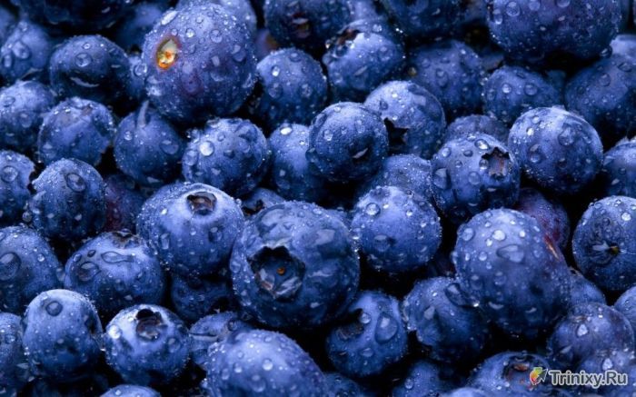 10 продуктов, которые необходимы организму осенью (10 фото) 10 продуктов, которые необходимы организму осенью (10 фото)