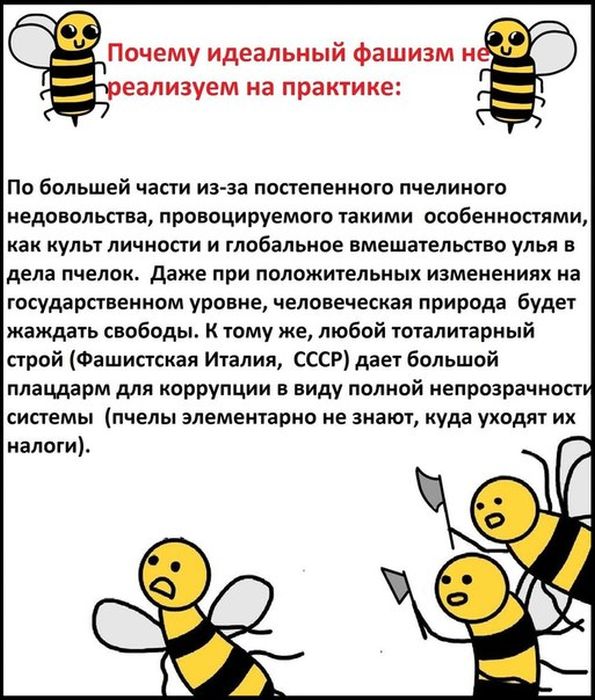 Пчелы знают все о политике (19 фото)