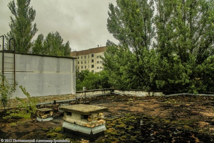 Школа в Чернобыльской Зоне Отчуждения (35 фото)