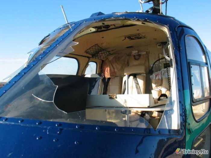 Вертолет против стаи птиц (23 фото)