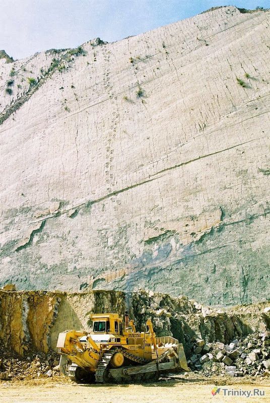 Стена, сохранившая огромное количество следов динозавров (10 фото)