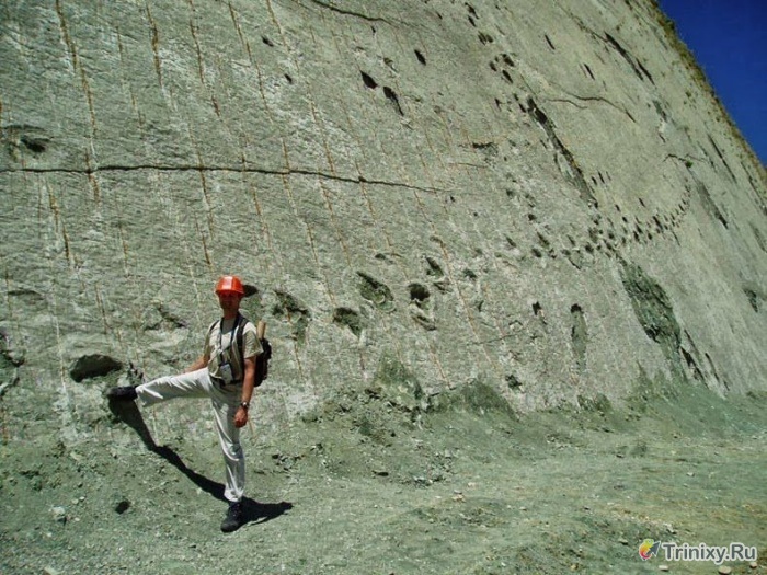Стена, сохранившая огромное количество следов динозавров (10 фото)
