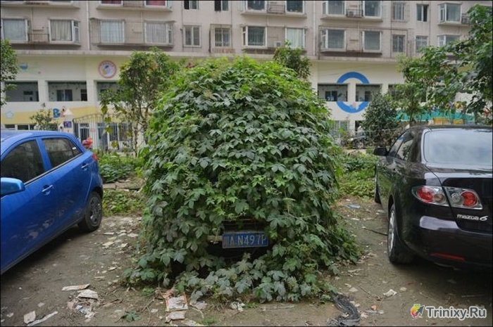Брошенный зомби-автомобиль в Китае (4 фото)