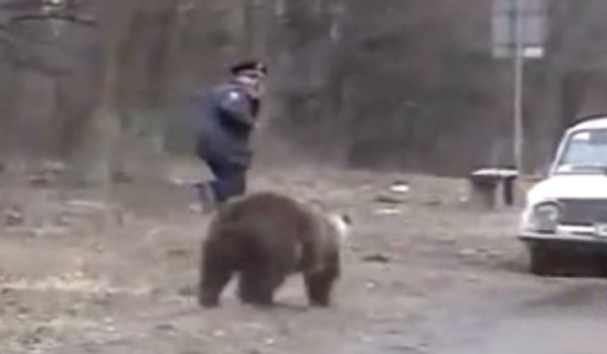 Медведи? Наши люди никого не боятся!