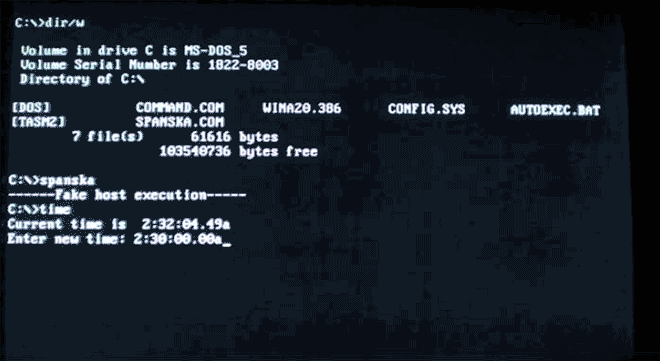 Вирусы и вредоносные программы эпохи MS-DOS (15 гифок)