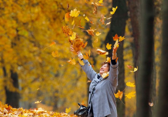 Осеннее настроение в ярких красках (40 фото)