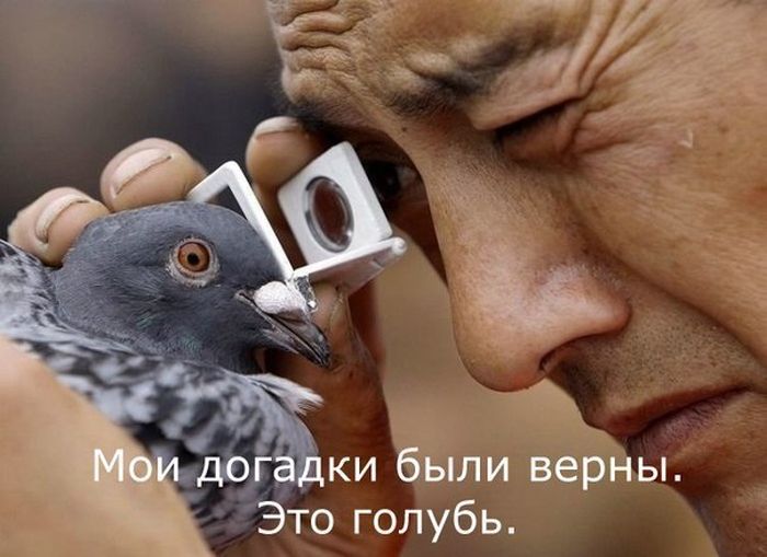 Прикольные картинки (140 фото)