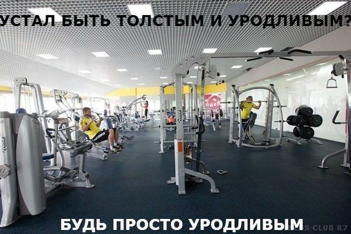 Прикольные картинки (140 фото)
