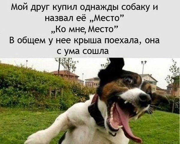 Прикольные картинки (140 фото)