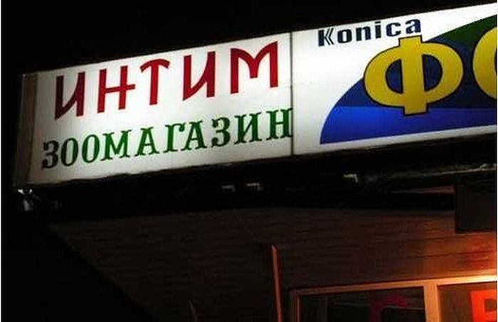 Прикольные картинки (140 фото)