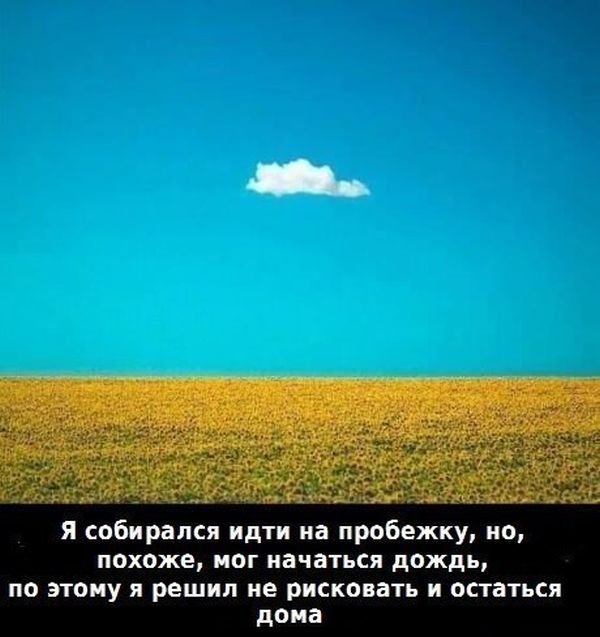 Прикольные картинки (140 фото)