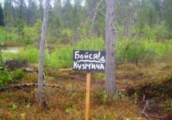 Прикольные картинки (140 фото)