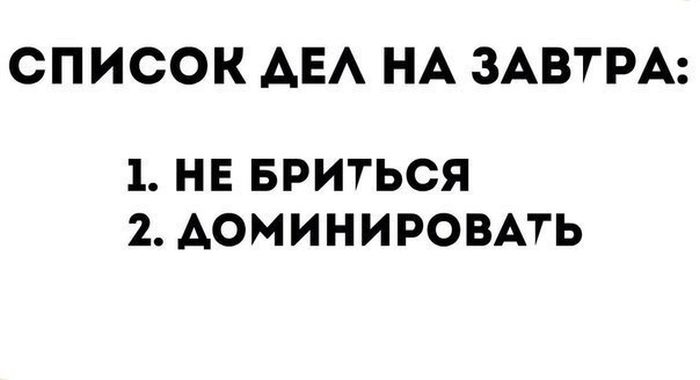 Прикольные картинки (140 фото)