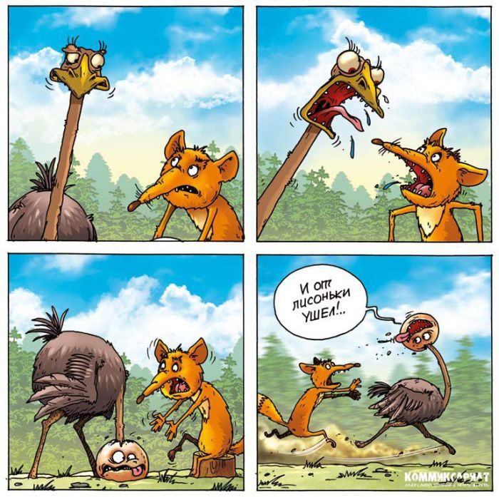 Прикольные комиксы про страуса (20 фото)