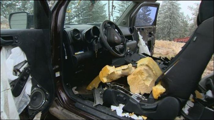 Не оставляйте конфеты внутри автомобиля в Колорадо (15 фото)