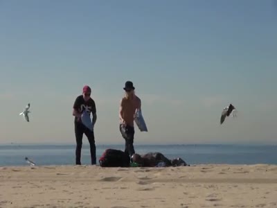Забавный розыгрыш с чайками на пляже (8.4 мб)