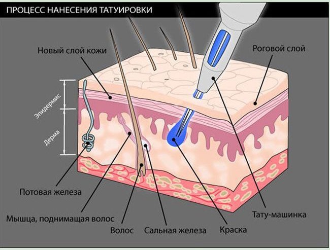 Информация о татуировках (12 фото)