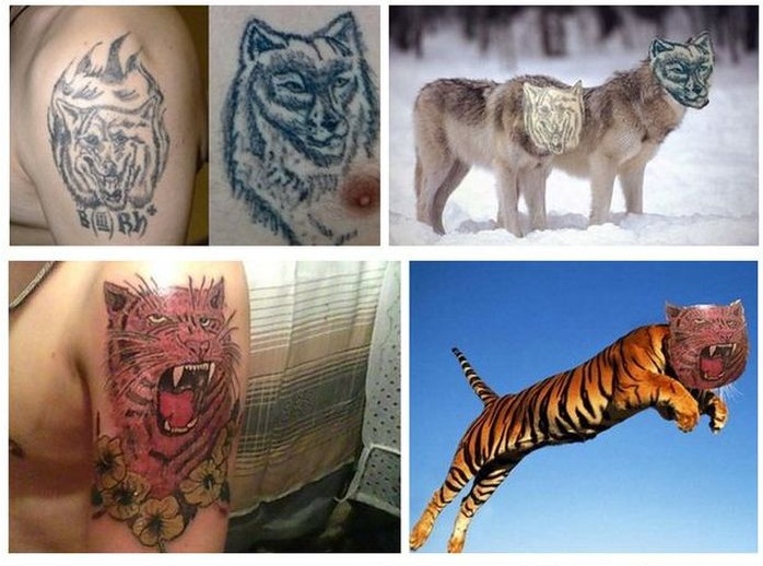 Оживляем паршивые татуировки (13 фото)