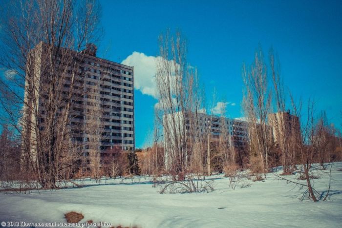 Времена года в зоне отчуждения Чернобыльской АЭС (56 фото)