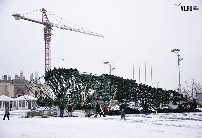 Падение главной городской ёлки во Владивостоке (18 фото + видео)