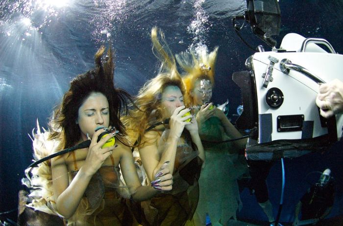 Как создаются подводные снимки (41 фото)