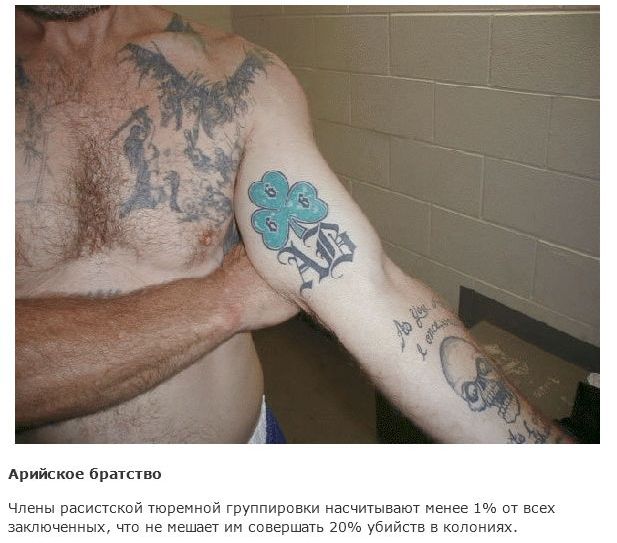Расшифровка значений тюремных тату за границей (15 фото)