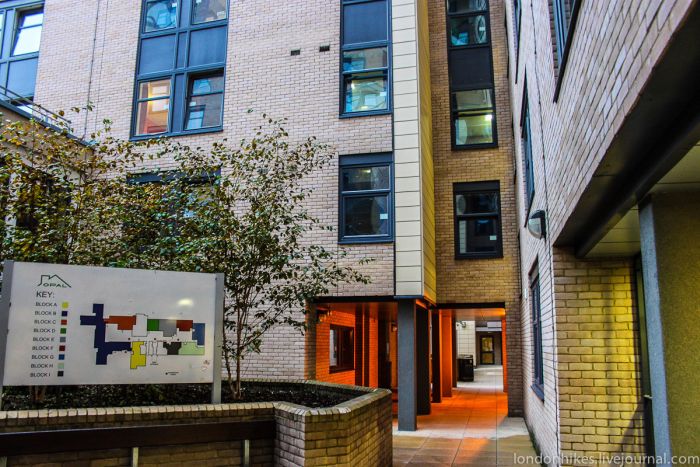 Общежитие для студентов в Лондоне (54 фото)
