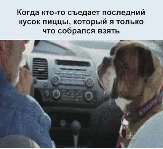 Жизненные ситуации в прикольных картинках. Часть 20 (12 гифок)