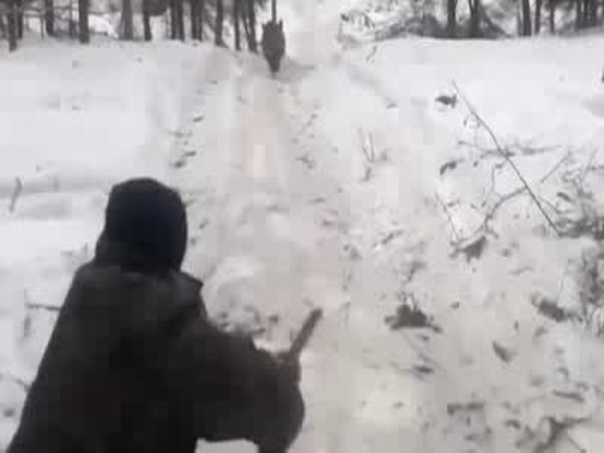 &quot;Ворошиловский стрелок&quot; охотится на кабана