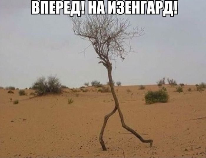 Прикольные картинки (90 фото)