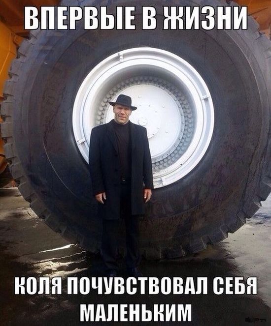 Прикольные картинки (90 фото)