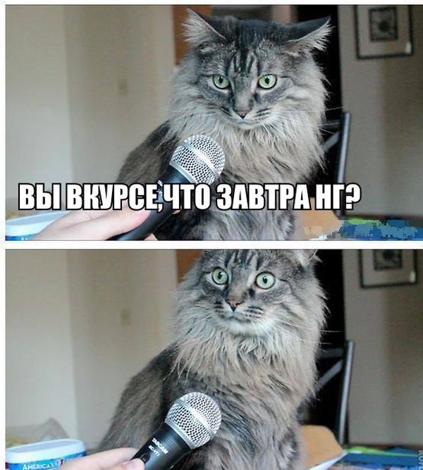 Прикольные картинки (90 фото)