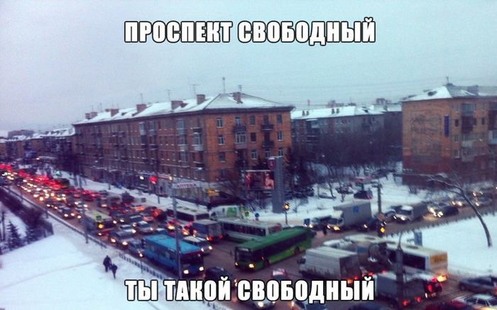 Прикольные картинки (90 фото)
