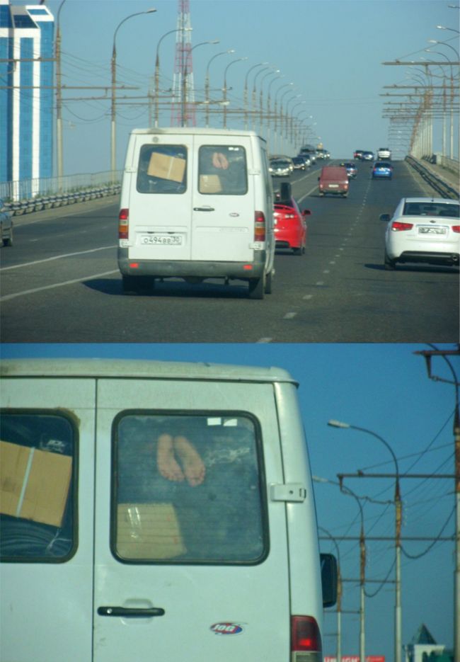 Прикольные картинки (90 фото)
