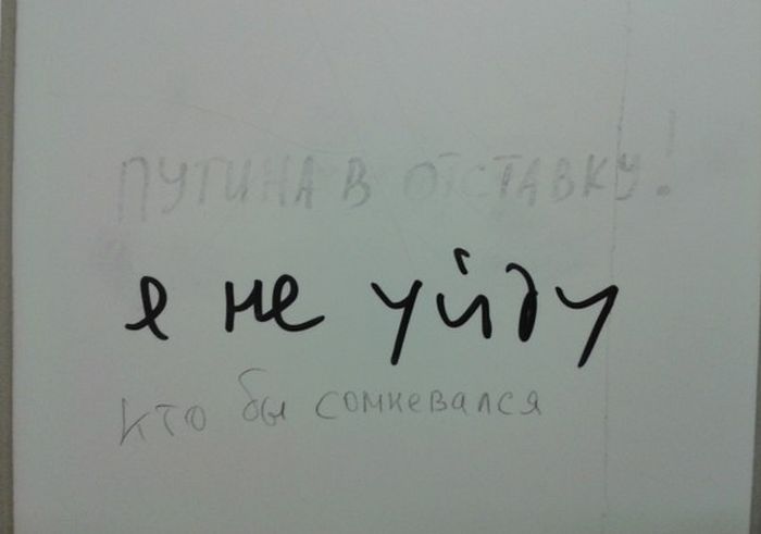 Прикольные картинки (90 фото)