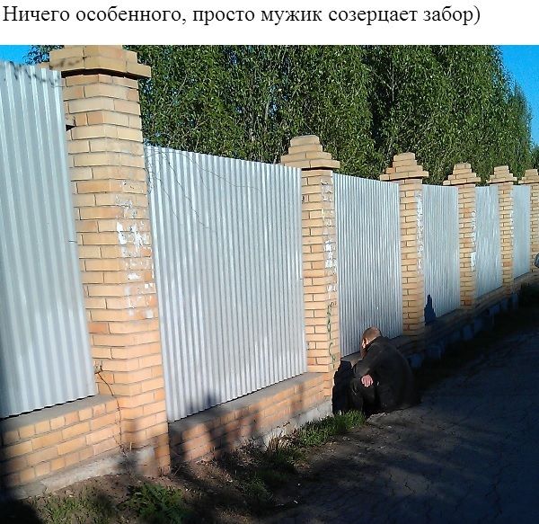 Прикольные картинки (90 фото)