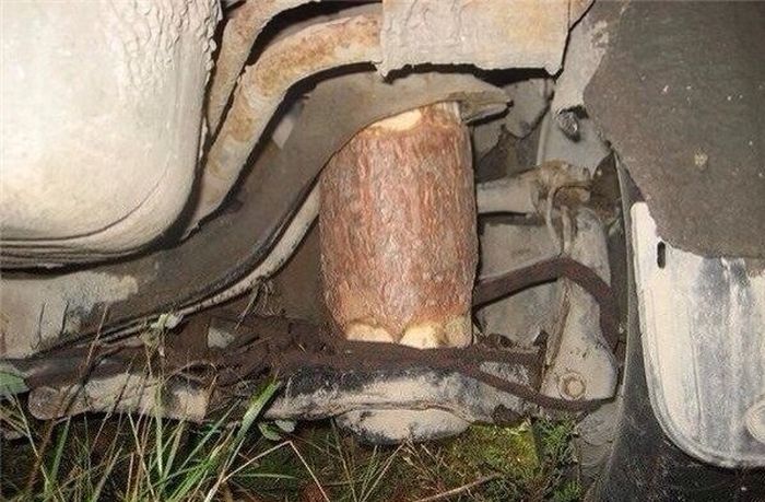 Прикольные картинки (90 фото)