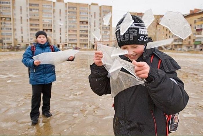 Прикольные картинки (90 фото)