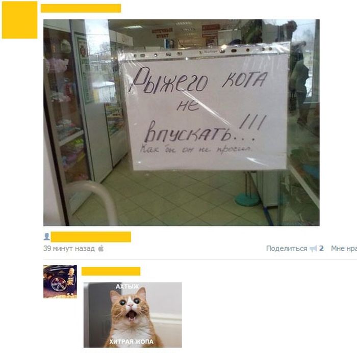 Прикольные картинки (90 фото)