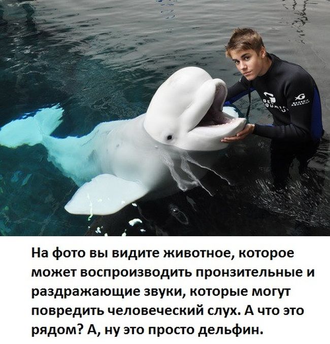 Прикольные картинки (90 фото)
