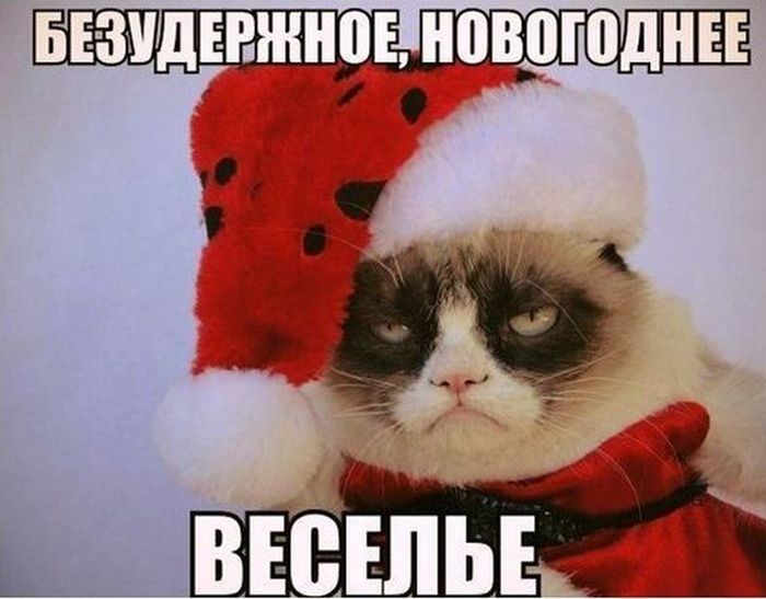 Прикольные картинки (90 фото)