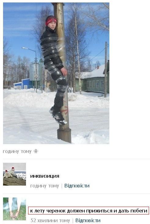Прикольные картинки (90 фото)