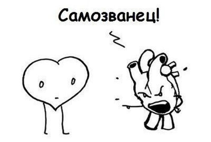 Прикольные картинки (90 фото)