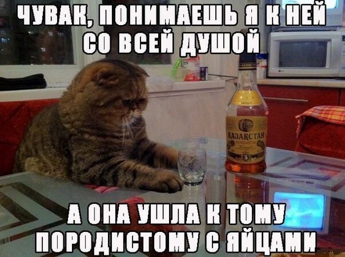 Прикольные картинки (90 фото)
