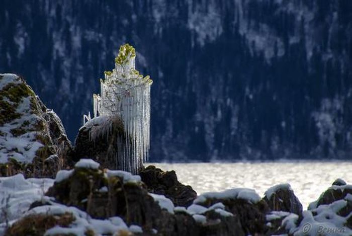 Прикольные картинки (90 фото)