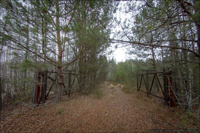 Прогулка в зону отчуждения Чернобыля (40 фото)