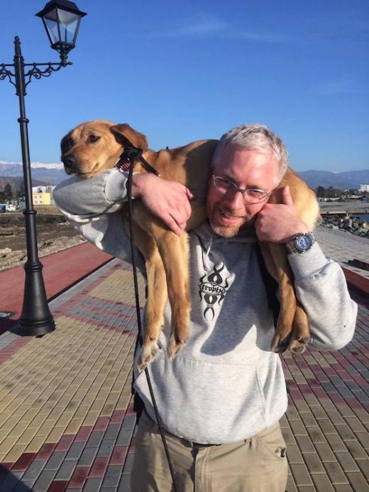 Бродячая собака из Сочи нашла себе дом в Америке (2 фото)