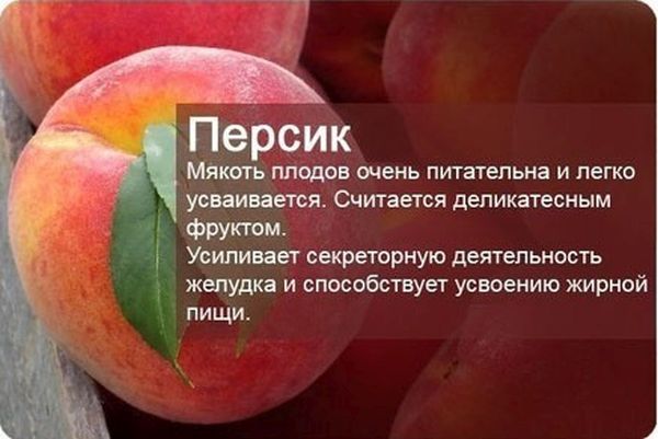 Полезные фрукты и ягоды (19 фото)